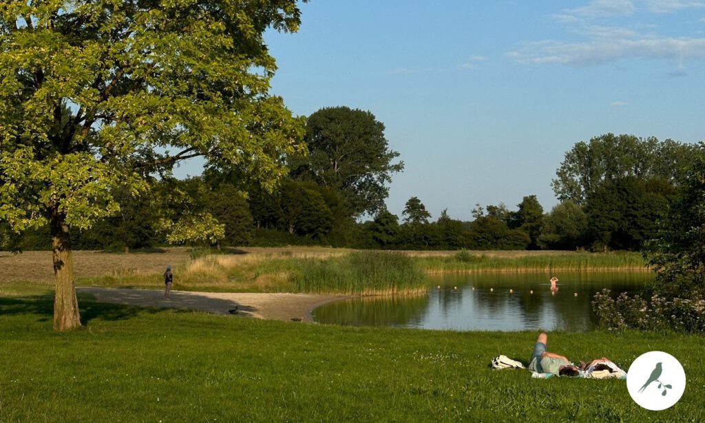 Strand Bussloo – zandstranden en speelweide met zwemplekken in een recreatiegebied