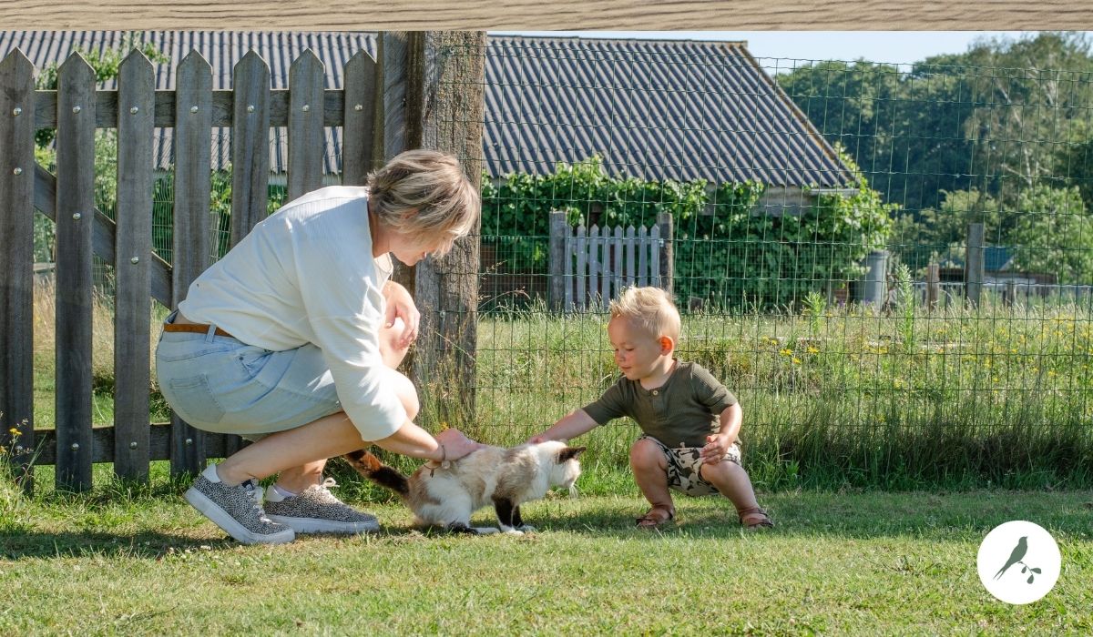 moeilijk een vuurtje stoken pack Waarom kinderen zo genieten van een vakantie met dieren op de boerderij -  de Kleine Wildenberg