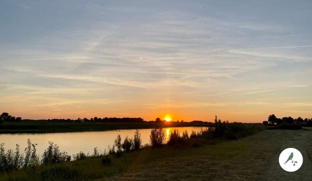 Zwempunt bij de IJssel voor de haven – populaire plek voor een duik.