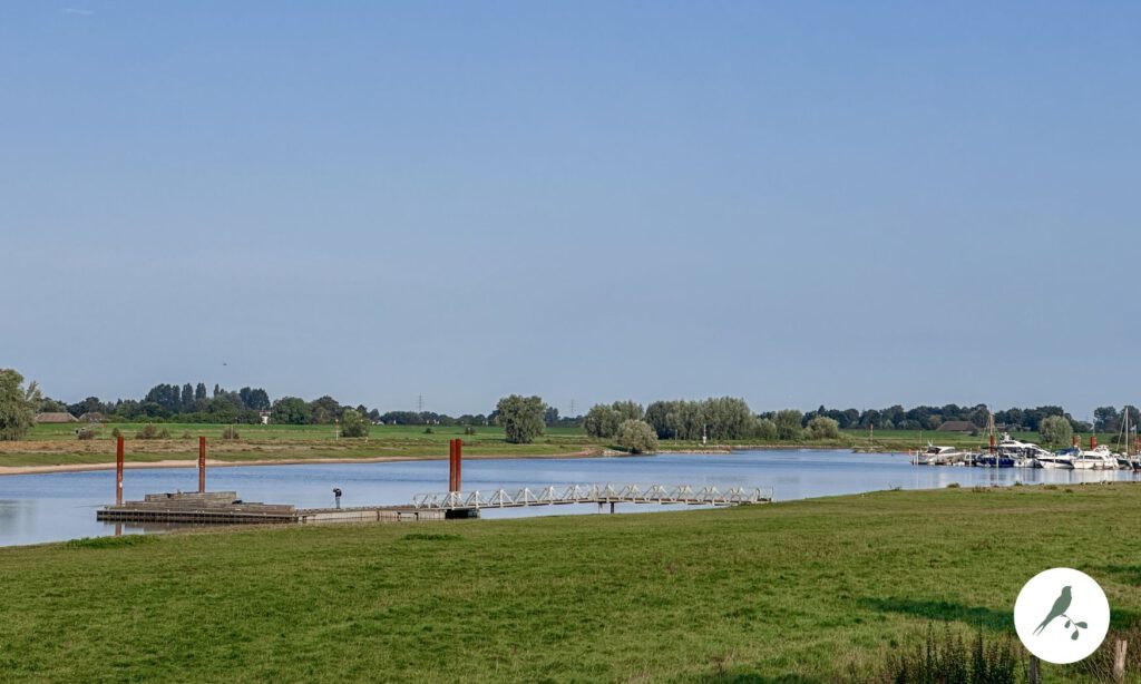 Zwemvlot bij de IJssel na de haven – populaire plek voor een duik.