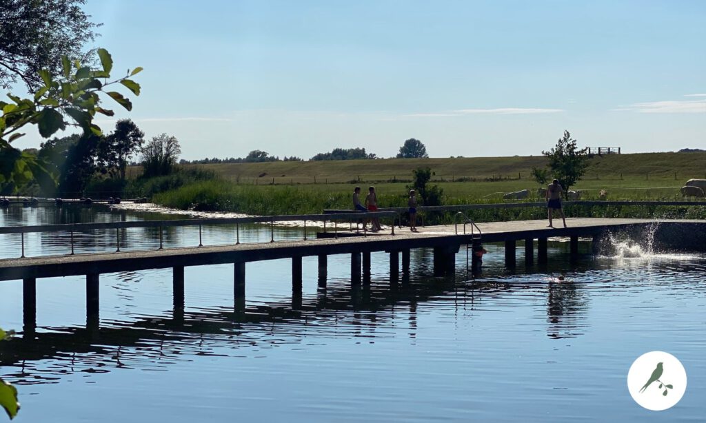 De Lange Kolk in Den Nul – rustige natuurlijke zwemlocatie met historische zwembad randen om vanaf te duiken