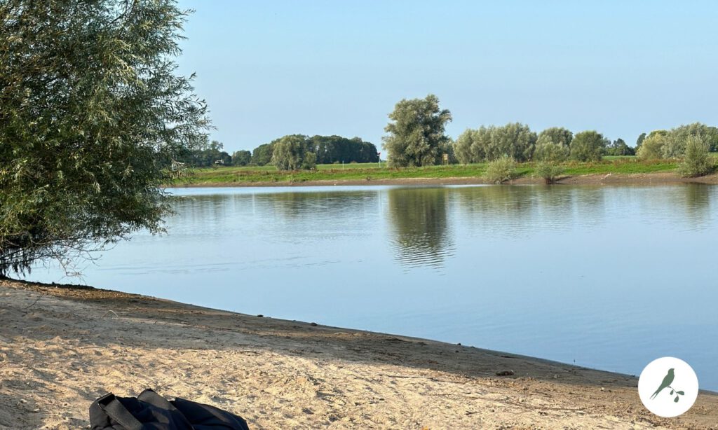 Gezellige picknick plek langs de IJssel in Deventer.